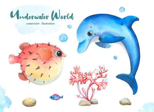 ساکنان دنیای زیر آب مجموعه آبرنگ نقاشی شده با دست با دلفین های رنگارنگ ماهی جوجه تیغی ماهی های کوچک سنگ های دریا و مرجان جدا شده در زمینه سفید