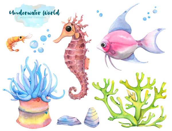 تصویر آبرنگی با دست نقاشی شده از دنیای زیر آب جلبک های رنگارنگ ماهی های عجیب و غریب و اسب دریایی جدا شده در پس زمینه سفید