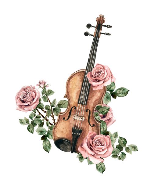 ساز موسیقی آبرنگ رنگ دستی رز صورتی ملایم ویولن بوته ای تصویر گلدار پس زمینه جدا شده سفید