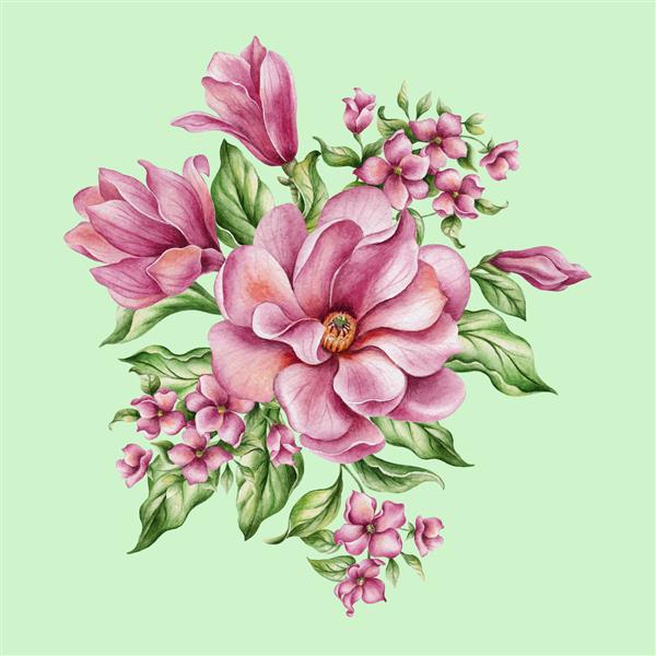 مجموعه ای از تصاویر گل مگنولیا زیبا آبرنگ دست ساز