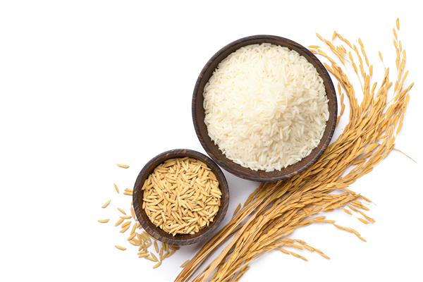نمای بالای برنج سفید و برنج شلتوک در کاسه چوبی با گوش برنج جدا شده در پس زمینه سفید