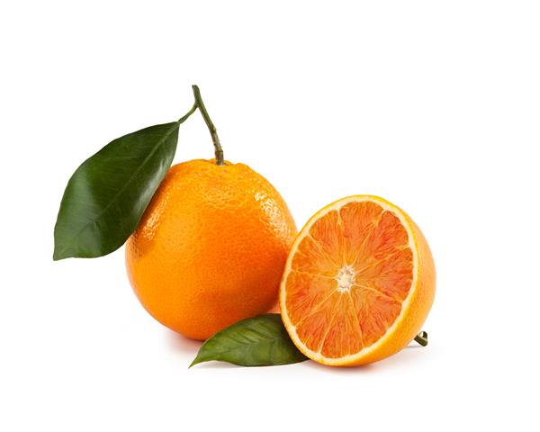 برگ نارنجی جدا شده در زمینه سفید - Arancia Tarocco - Citrus sinensis