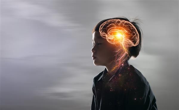 مفهوم سیستم عصبی مغز علم چیزی است که کودکان باید مطالعه و یاد بگیرند فرآیند تفکر و روانشناسی کودکان