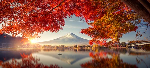فصل رنگارنگ پاییز و کوه فوجی با مه صبحگاهی و برگ های قرمز در دریاچه کاواگوچیکو یکی از بهترین مکان های ژاپن است