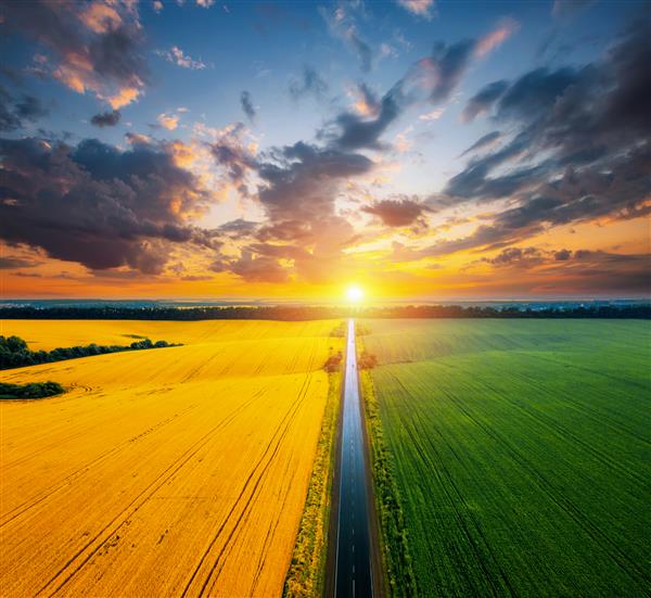 نمای هوایی از جاده روستایی که از زمین های کشاورزی و مزارع زیر کشت می گذرد موقعیت مکانی اوکراین اروپا عکاسی با پهپاد مفهوم صنعت کشاورزی زیبایی های دنیا را کشف کنید