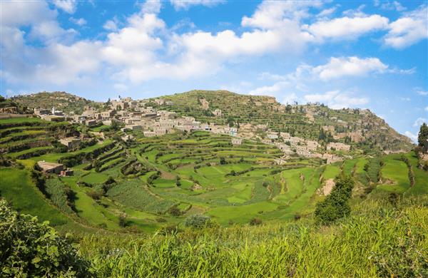 مناظر دیدنی از تراس های کشاورزی کوه صابر در شهر تعز که دومین کوه مرتفع یمن و شبه جزیره عربستان است