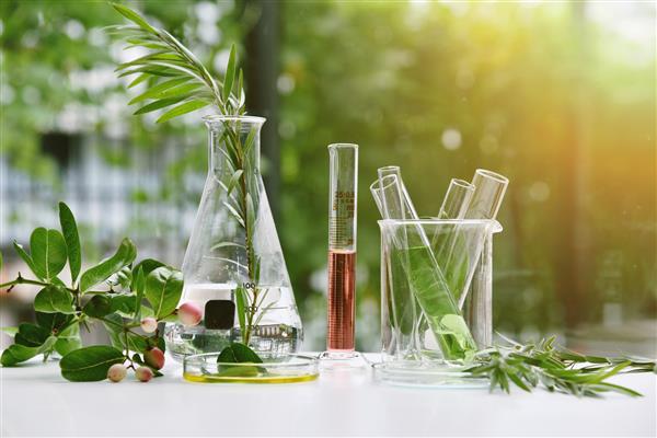 تحقیقات دارویی طبیعی استخراج طبیعی ارگانیک و علمی در ظروف شیشه ای داروهای گیاهی سبز جایگزین محصولات زیبایی مراقبت از پوست طبیعی مفهوم آزمایشگاهی و توسعه