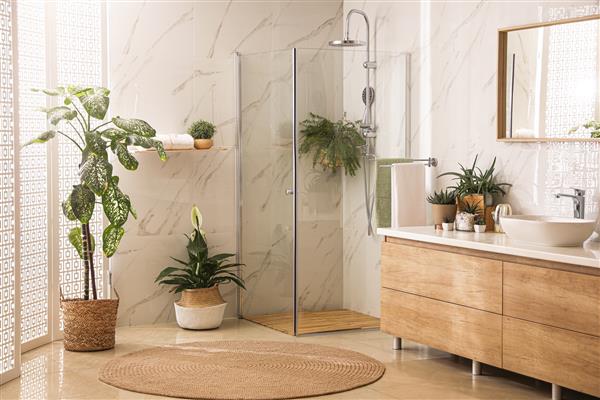 فضای داخلی حمام شیک با میز غرفه دوش و گیاهان آپارتمانی ایده طراحی
