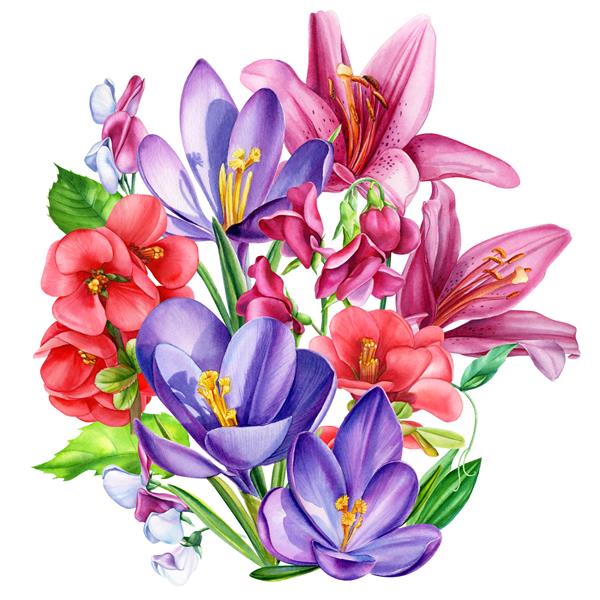 دسته گل های زیبا آفتابگردان نیلوفر گل رز کروکوس به رانکولوس نخود شیرین در پس زمینه ای جدا شده تصویر گیاه شناسی طرح گل آبرنگ