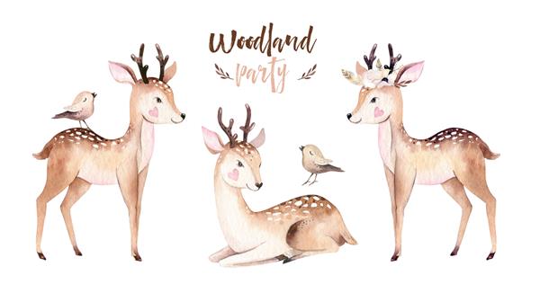 وودلند آبرنگ حیوانات زیبا بچه گوزن طرح پوستر کارتونی مهد کودک جنگلی اسکاندیناوی
