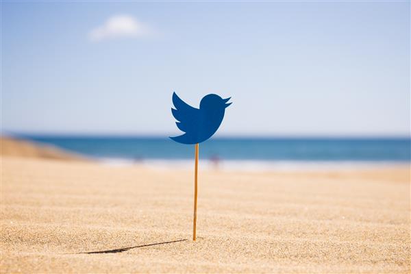 ماسپالوماس گرن کاناریا - اکتبر 2019 نماد توییتر روی چوب در ساحل شنی در روز آفتابی