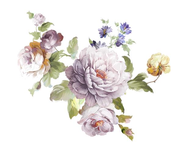 گل های آبرنگ زیبا برای طرح شما و الگوی گل برای کاغذ دیواری یا پارچه