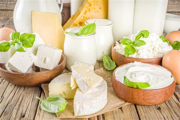مجموعه ای از انواع محصولات لبنی تازه - شیر پنیر پنیر تخم مرغ ماست خامه ترش کره در زمینه چوبی