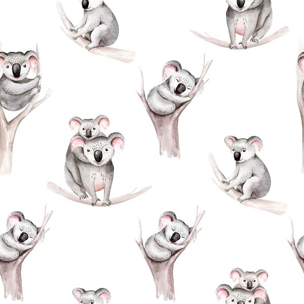 تصویر حیوانات گرمسیری کودک کوالا کارتونی الگوی بدون درز آبرنگ چاپ تابستانی عجیب و غریب جنگلی طراحی ایزوله باغ وحش استرالیا