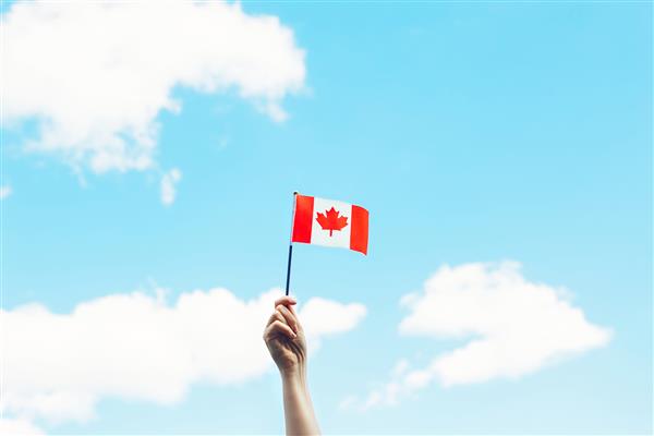 نمای نزدیک از بازوی دست انسان زن که پرچم کانادا را در برابر آسمان آبی تکان می دهد مرد شهروند مغرور که روز ملی کانادا را در اول جولای در فضای باز جشن می گیرد