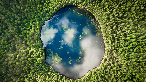 یک دریاچه دایره ای تقریباً عالی که مستقیماً از هوا به پایین شلیک شده است شبیه زمین احاطه شده توسط یک جنگل کاج است