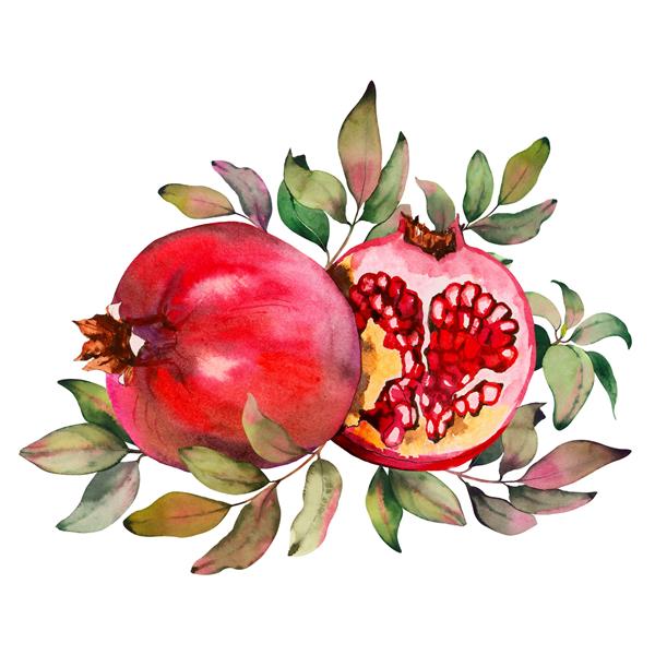 چیدمان میوه های انار قرمز جدا شده در زمینه سفید