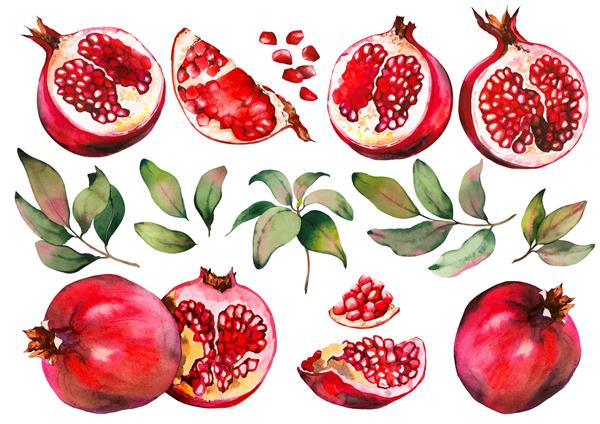 مجموعه ای از میوه های انار قرمز و برگ های سبز