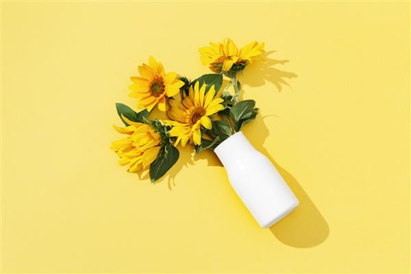 آفتابگردان های زیبا در گلدان سفید روی کاغذ زرد گلهای طبیعی پاییزی مفهوم پاییزی نمای بالا و فضای کپی