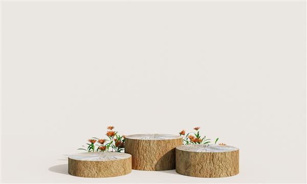 تریبون نمایش محصولات چوبی با برگ های طبیعت در زمینه پاستل رندر سه بعدی