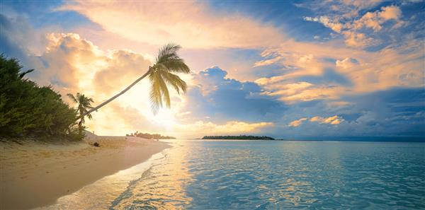 منظره زیبای استوایی - غروب رنگارنگ خورشید با شبح درخت نخل بر فراز اقیانوس ساحل جزیره مالدیو