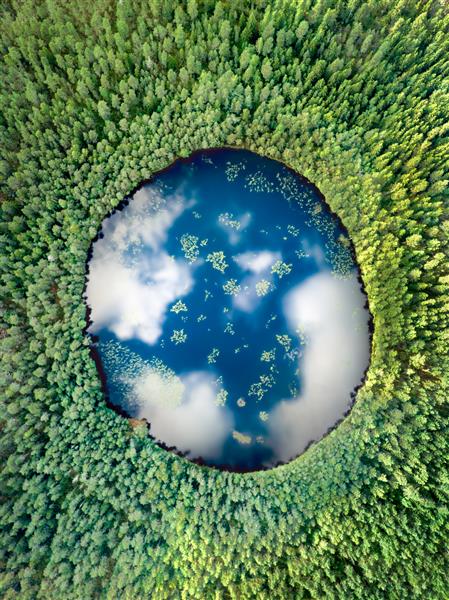 دریاچه زمین عمودی که توسط جنگل های آلپ احاطه شده است تصویر اکو با انعکاس ابر شبیه سیاره