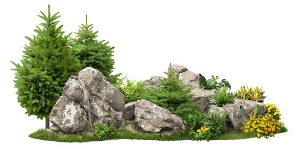 صخره بریده احاطه شده توسط درختان صنوبر و گل طراحی باغ جدا شده در پس زمینه سفید درختچه تزئینی برای محوطه سازی ماسک برش با کیفیت بالا برای ترکیب حرفه ای