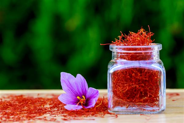 ادویه زعفران خشک در بطری و گل زعفران روی میز چوبی