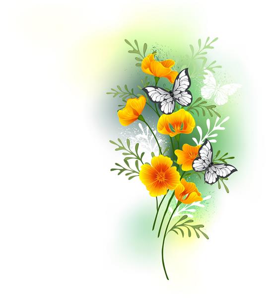 دسته گل کوچکی از گل‌های خشخاش کالیفونی نارنجی با نقاشی‌های هنرمندانه با پروانه‌های سفید روی آن‌ها در مقابل پس‌زمینه سفید آغشته به رنگ سبز