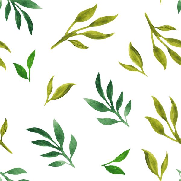 الگوی بدون درز آبرنگ با برگ های سبز شاخه ها برای دکوراسیون و طراحی چاپ روی کاغذ پارچه اسکرپ بوک بوهو روستیک گیاه شناسی سبک طبیعی جدا شده در زمینه سفید