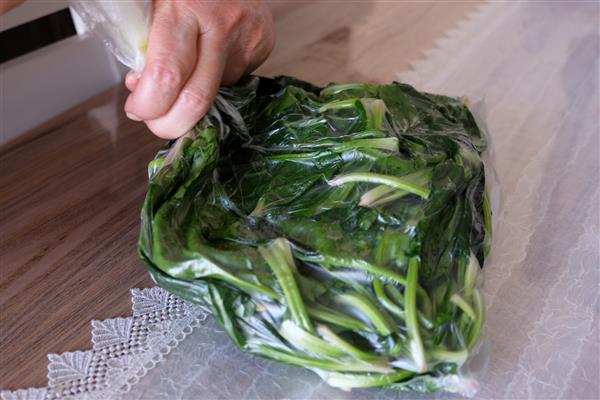 اسفناج در کیسه پلاستیکی تمرکز انتخابی است کیسه های پلاستیکی اسفناج برای فریزر در زمستان قرار دادن در یک کیسه پلاستیکی شفاف برای انجماد آلودگی برای نگهداری سبزیجات در این بسته ها