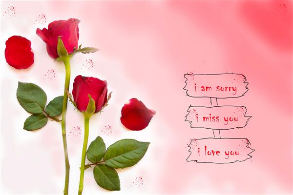 متاسفم دلم برات تنگ شده کارت پیام دوستت دارم با چیدمان گل های رز قرمز به سبک تخت خوابیده روی پس زمینه قرمز