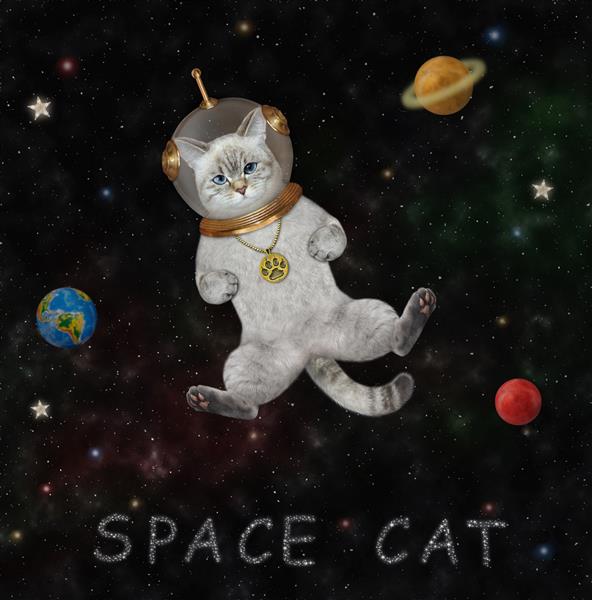 یک فضانورد گربه خاکستری با لباس فضایی در فضای بیرونی در میان ستارگان و سیارات شناور است