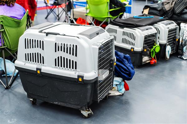 جعبه های پلاستیکی برای حمل حیوانات حامل های بزرگ حیوانات خانگی در کف سیمانی فرودگاه قرار دارند پیش زمینه تمرکز انتخابی