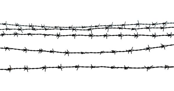 سیم خاردار نرده با سیم خاردار هولوکاست اردوگاه کار اجباری زندانیان حصار مرزی افسرده جدا شده در زمینه سفید