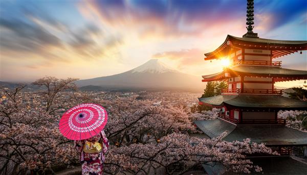 فوجیوشیدا ژاپن منظره زیبا از کوه فوجی و بتکده چوریتو در غروب آفتاب ژاپن در بهار با شکوفه های گیلاس