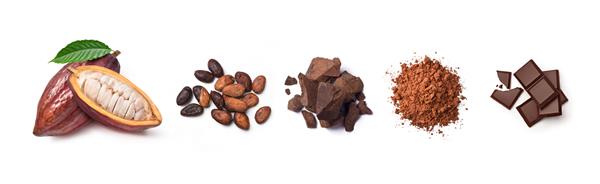 مواد تشکیل دهنده شکلات غلاف کاکائو دانه های کاکائو توده شکلات پودر کاکائو شکلات تخته ای دراز کشیدن تخت جدا شده در پس زمینه سفید