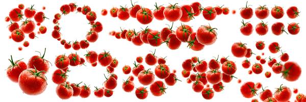 مجموعه ای از عکس ها گوجه‌فرنگی‌های قرمز روی یک پس‌زمینه سفید معلق می‌شوند