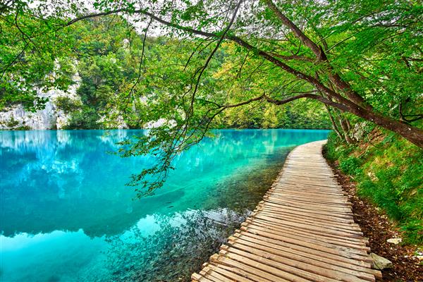 دریاچه آبی فیروزه ای در پارک ملی پلیتویس کرواسی