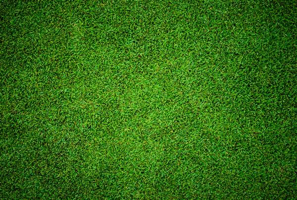 پس زمینه و بافت الگوی چمن سبز زیبا از زمین گلف