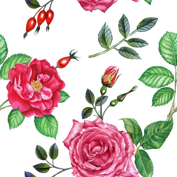 گل های آبرنگ نقاشی شده با دست می تواند به عنوان پس زمینه عاشقانه برای صفحات وب دعوت عروسی کارت تبریک کارت پستال الگوها طراحی پارچه طراحی بسته و غیره استفاده شود