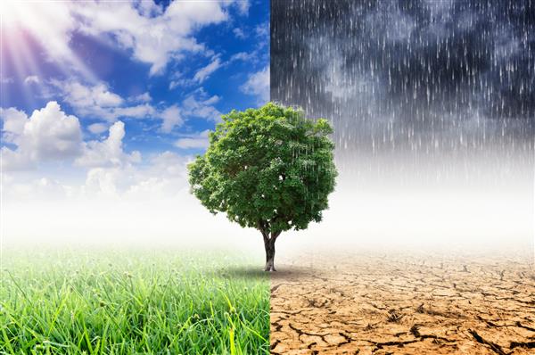 گیاهان و تغییر اقلیم با مفهوم گرمایش جهانی