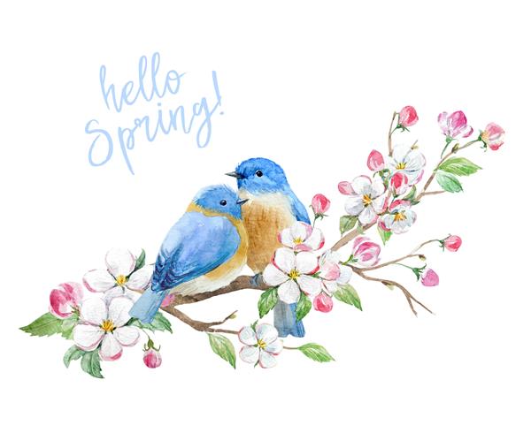 تصویر آبرنگ شاخه درخت سیب شکوفه با دو پرنده عاشق الگوی دعوت سلام بهار