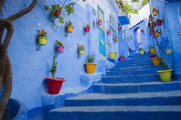گلدان های رنگارنگ که از پلکان آبی در شفشاوان مراکش بالا می روند