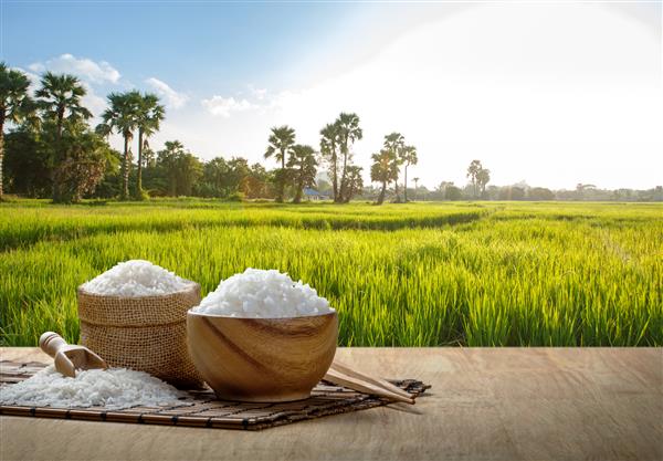 برنج بخار پز یاس در کاسه چوبی با چوب غذاخوری روی میز چوبی با برنج مزرعه در غروب آفتاب