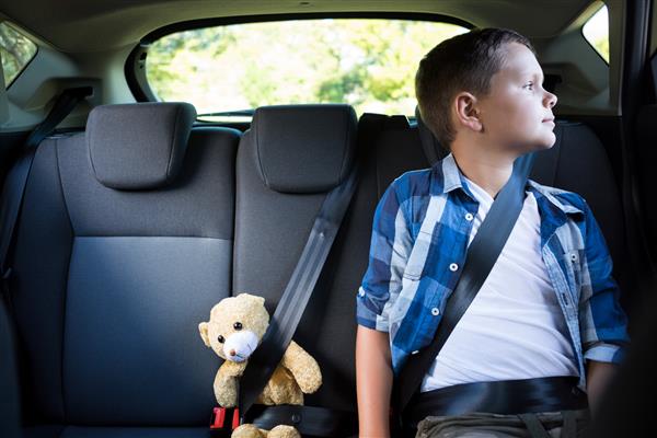 پسر نوجوانی که با خرس عروسکی در صندلی عقب ماشین نشسته است