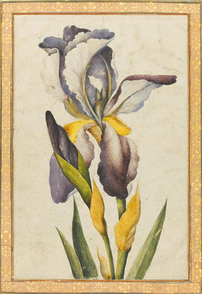 گل زنبق نقاشی آبرنگ گواش و طلا بر روی کاغذ