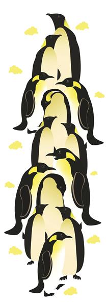 گروه پنگون ها بر روی زمینه سفید