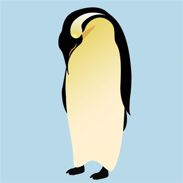 پنگوئن تمام رخ با پاهای سیاه