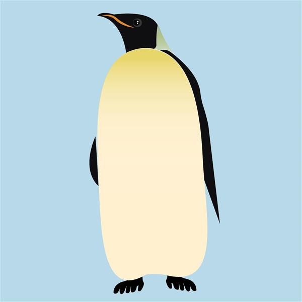 پنگوئن تمام رخ با پاهای زرد